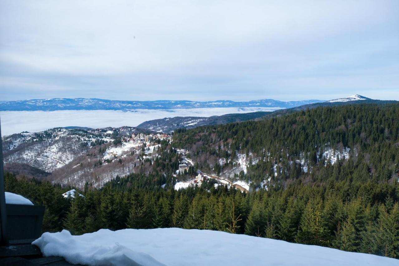 Vila Planinsko Blago Kopaonik Exterior foto